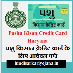 pashu kisan credit card haryana